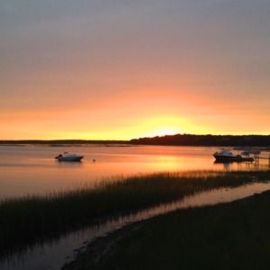 Meet your Posher, Peter